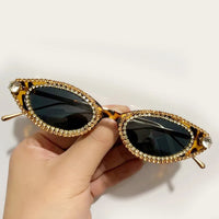 Cat Eye Diamond Sunglasses Women Unique Luxury Rhinestone Sunglasses ✨