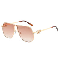 Pilot Sunglasses Shades Large Frame 🕶️
