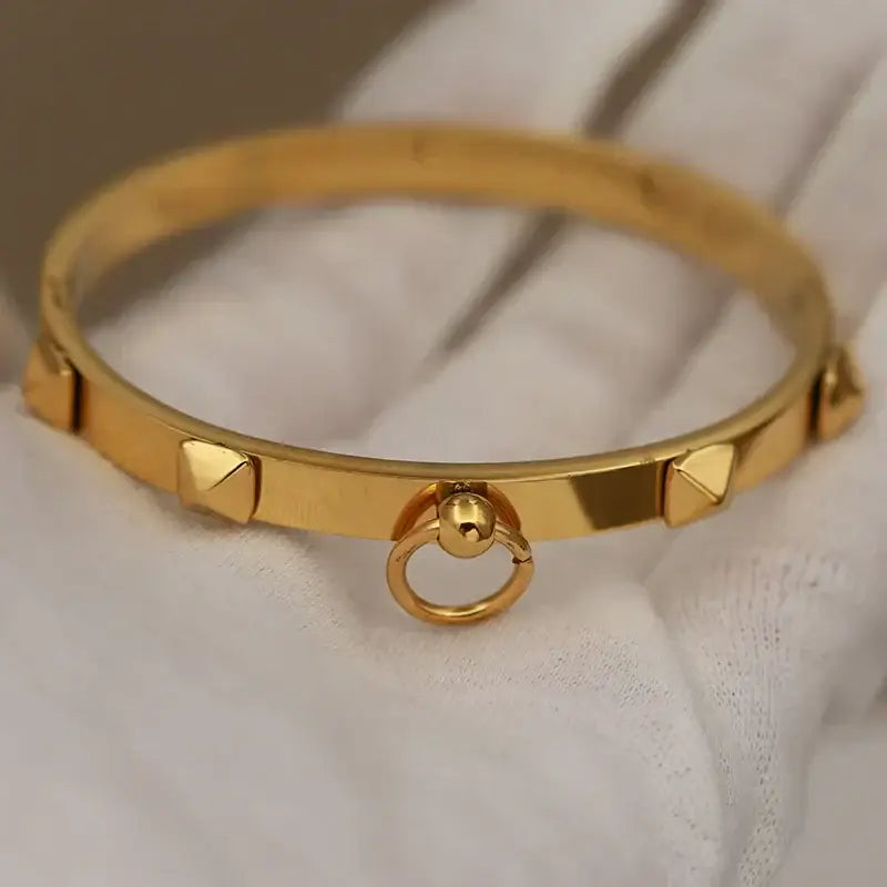 Elegant Bangles Rust-proof B 316L Classic Stainless Steel Bangles for Women ✨