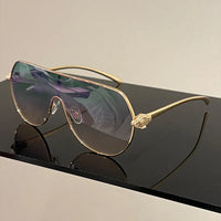 Metal Rim Monoblock Outdoor Shade Sunglasses 🕶️