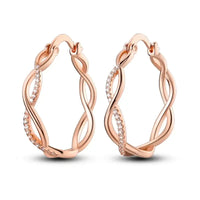 Rose Gold Series 925 Sterling Silver Flamingo Giraffe Star and Moon Flower Earrings ✨